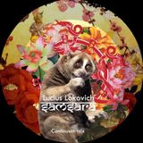 Lucius Lokovich - Samsara - Continuum mix