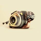 Faster Fish