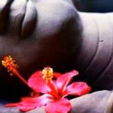 Good Silence (Chillout)