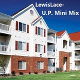 LewisLace-Coastal Carolina U.P. Mini Mix