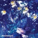 Brownswood Recordings