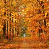 MKY October 12 Traktor Mix II
