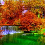 autumn14