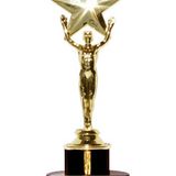 1st EVER 'Ordinary Council Awards'