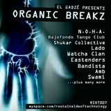 Organic Breakz