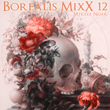 Borealis MixX 12.31