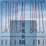 CRITICAL BASS VOL.1 // Mixed by Lady Feelion