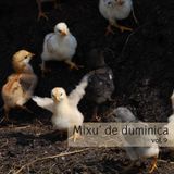 Mixu' de duminica vol.9