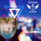 InDiVino by Adam Nova
