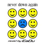 Never Down Again