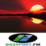 Stand Alone Complex #4 BassPort FM