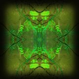 ACP Mix 012 - Cogidubnus