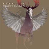 fabric 14: Stacey Pullen 30 Min Radio Mix