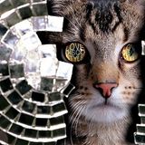 Dj Nadav Neeman - Nu-disco april 2012 (Live Set)