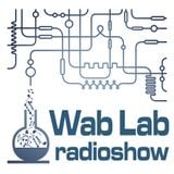 Wab Lab Ice & Slice Experiment 23_8_14_Part 3