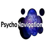Psychonavigation Records : Best of 2014 Mix