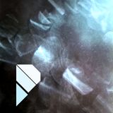 conjoint (mit Kiasmos et al.)