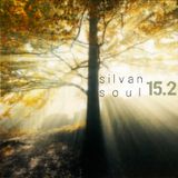 Silvan Soul 15.2