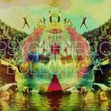 Psychedelic Eclectica