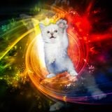 Lil' Kitten Presents a hBPMmusic archival release of a djMuppet production