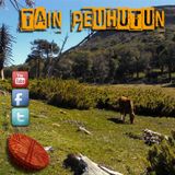 Idioma y Cultura Mapuche - Taiñ Peuhutun 13-12-2015
