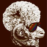 Bogdan C - Glich - Funk episode
