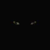 M@sters Dark Remainings