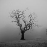 Solace Podcast #1 Feat. Clubroot