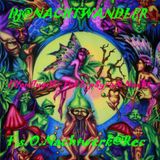 Dj-Nachtwandler-Elfenflug dEr FuLL pSy oN Nacht. 2012. F.s.O.Nachtwerk Record
