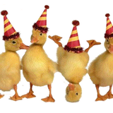 Duck Party Mix 2012