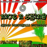 Nice N Shiny - Sheer Dancehall Niceness Mixtape