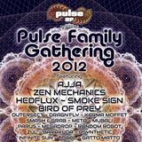 ALEX XIPIL - Techno set @ PULS SF Family Gahering 2012 party