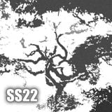 SS:22
