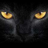 TEASER 2016 Dark Techno House #1