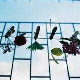 Vạn sự tùy duyên