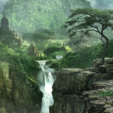 The Lost Jungle