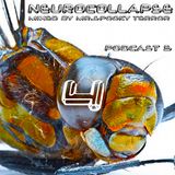 NEUROCOLLAPSE 4