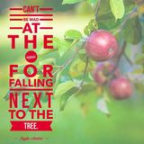 Motivation Monday: Apple Doesn't Fall from The Tree