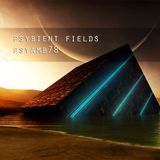 Psybient Fields - PsyAmb 78