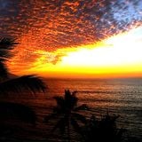 SUNSET GROOVE