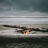 IndigoDreamsVol8