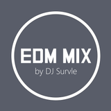 EDM MIX #11