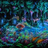 ☮☯ THE MAGIC FOREST ☮☯