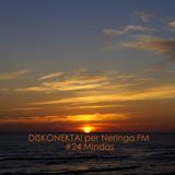DISKONEKTAI per Neringa FM #24 Mindas