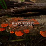 SPRING 2016 PODCAST - INFECTED MUSHROOM