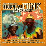 Buenavibra Dj Goes Funk II Part tropikal Funky Experience