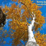 Burning Sycamore: Back to Back to Back to Basics 2