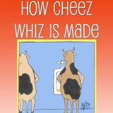 Cheeze Wizz