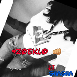 Intro To Zoeklo