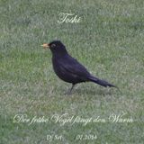 Der frühe Vogel fängt den Wurm